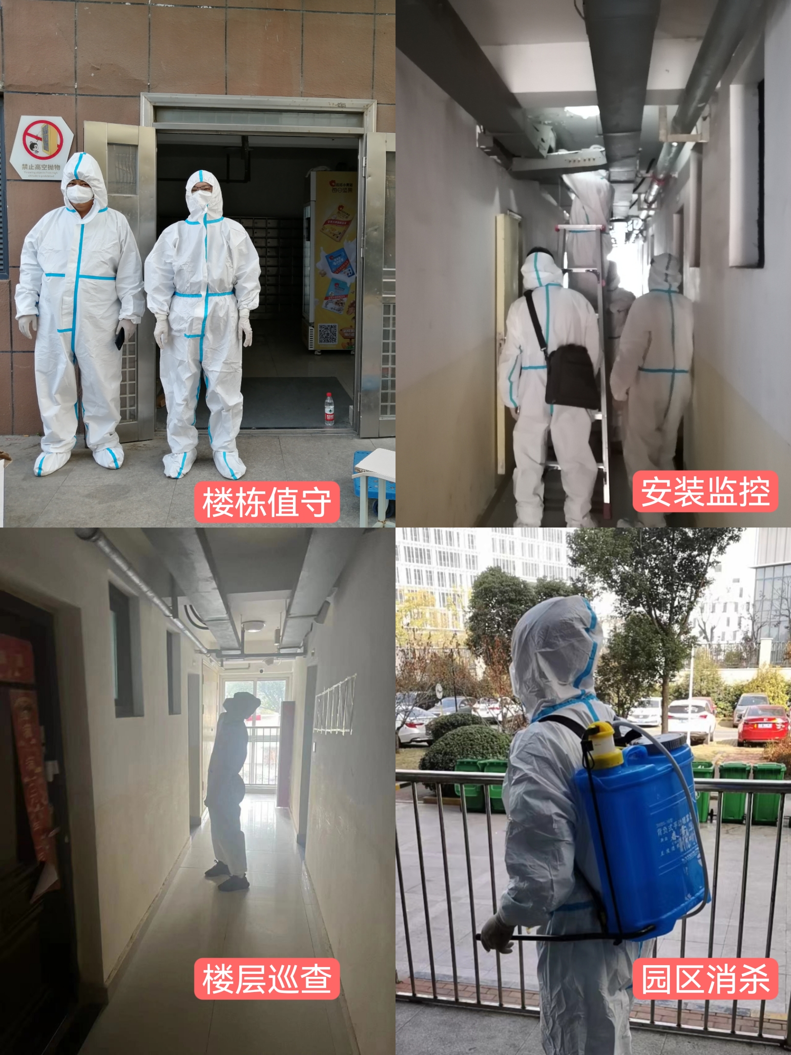 凤凰同盟平台注册·(唯一)官方网站