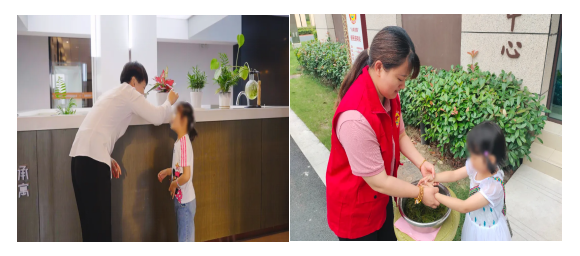 凤凰同盟平台注册·(唯一)官方网站