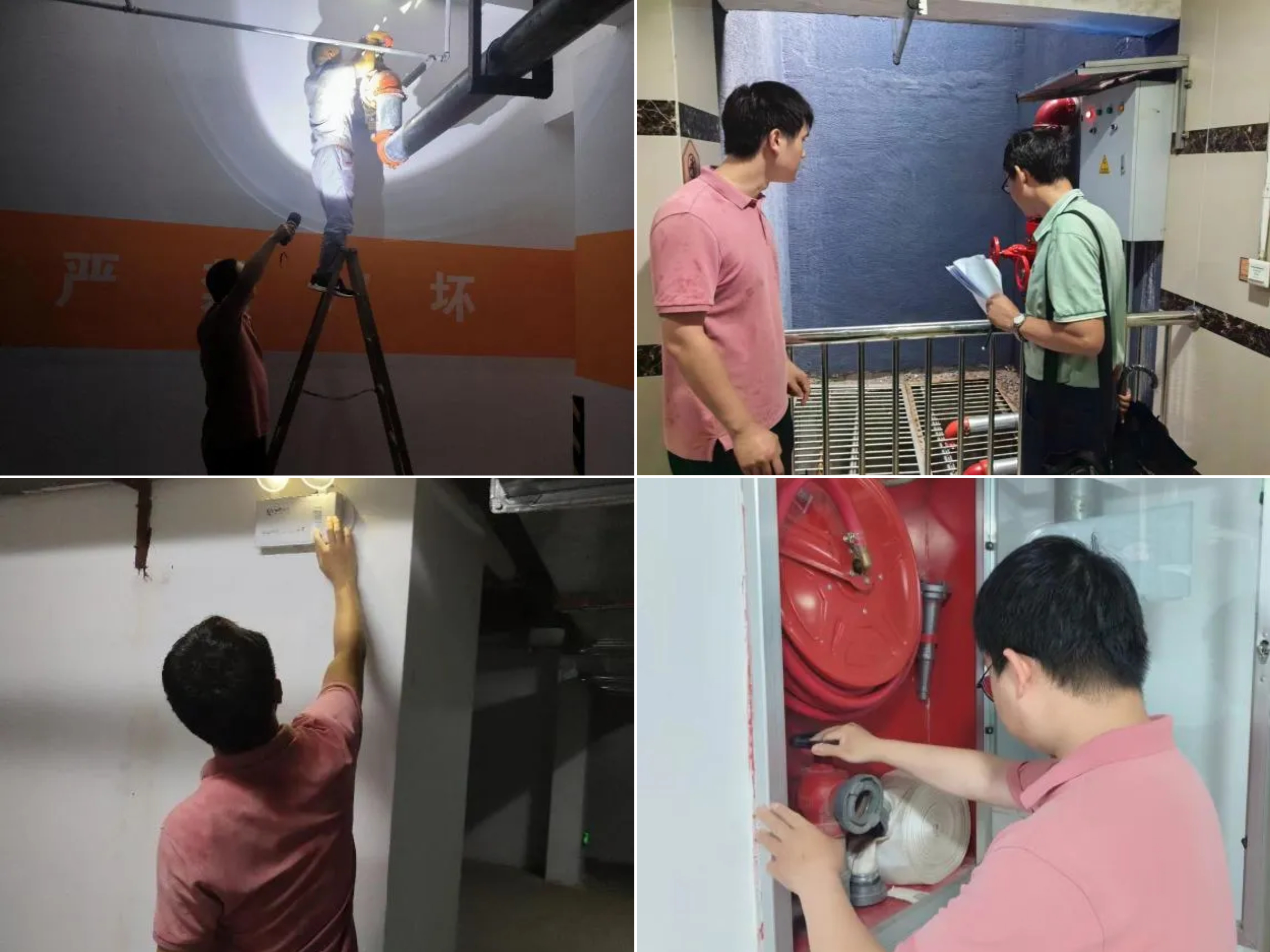 凤凰同盟平台注册·(唯一)官方网站