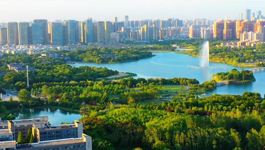 凤凰同盟平台注册·(唯一)官方网站