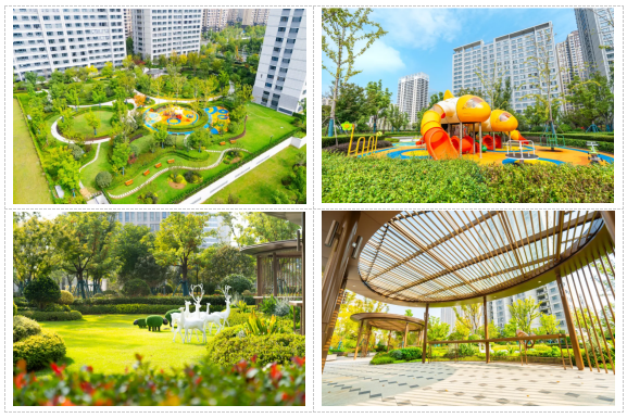 凤凰同盟平台注册·(唯一)官方网站