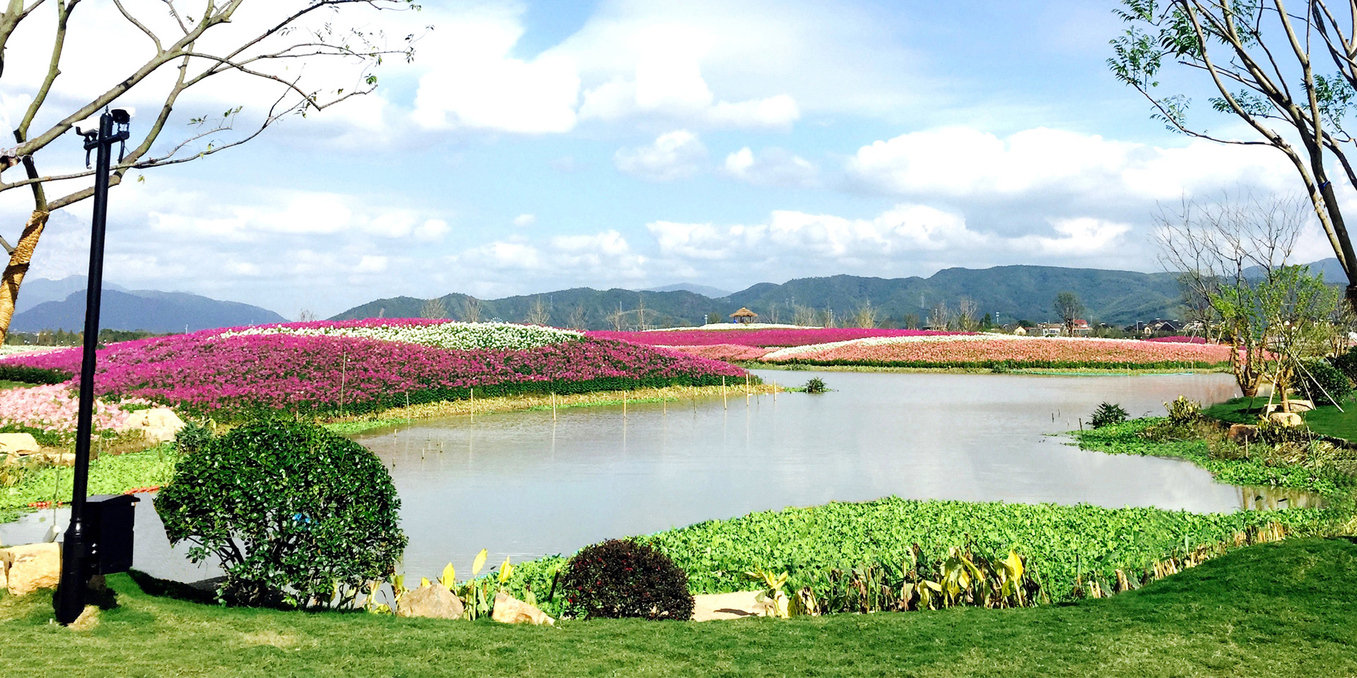 浙江?杭州 余杭径山花海